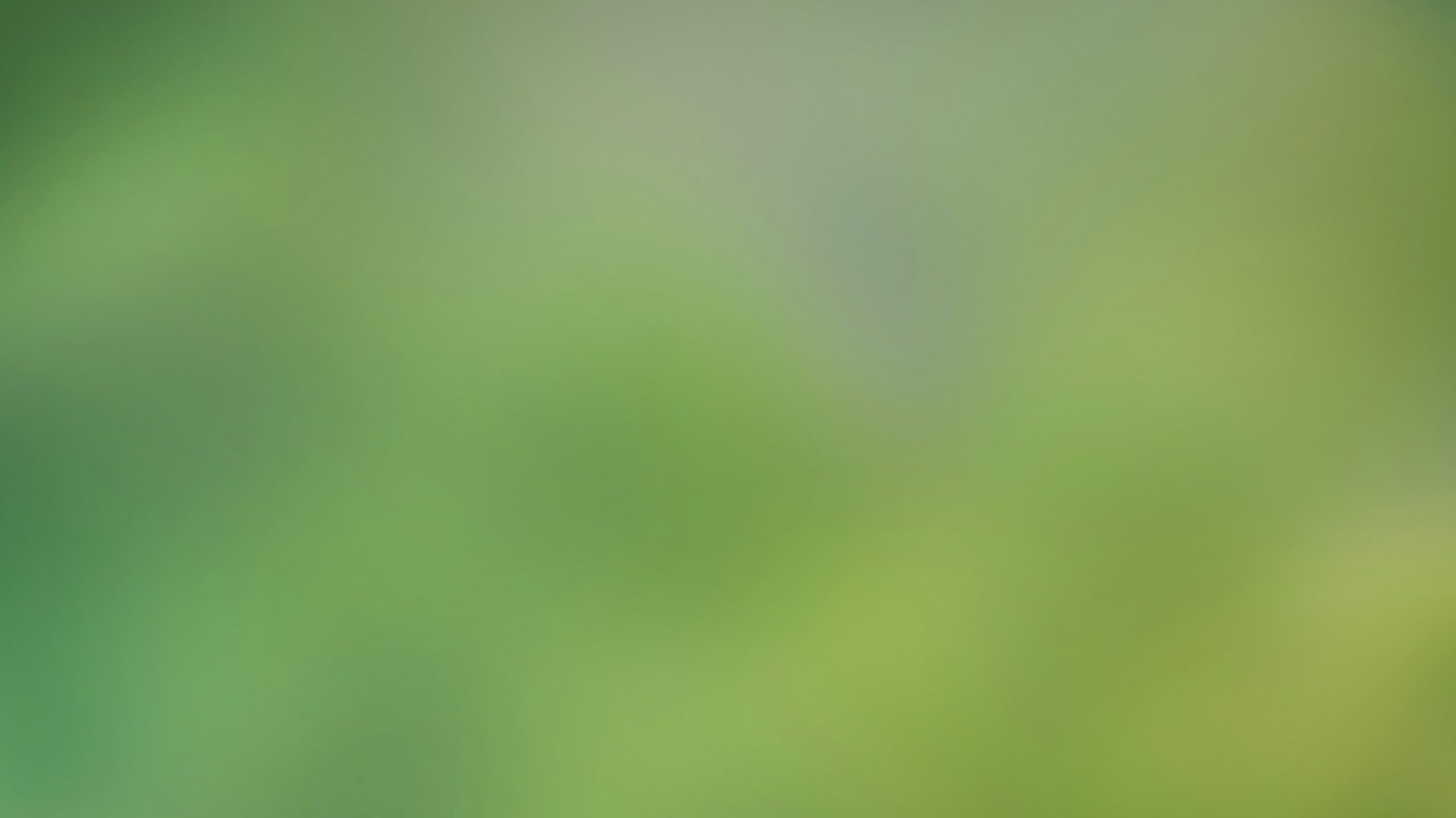 The W Report - Local Market Update – March - Feature Photo 2