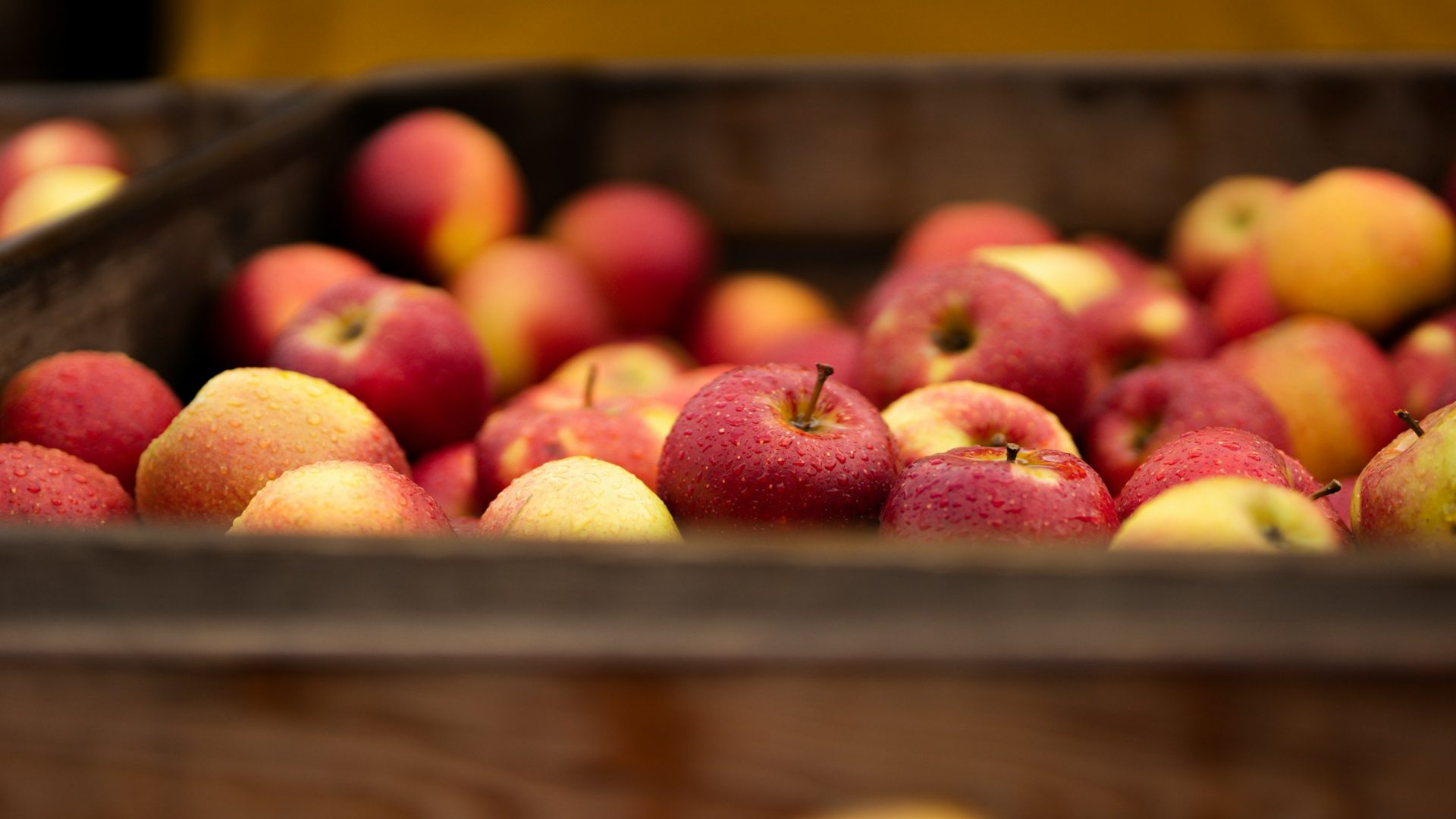 Washington's Apple Industry
